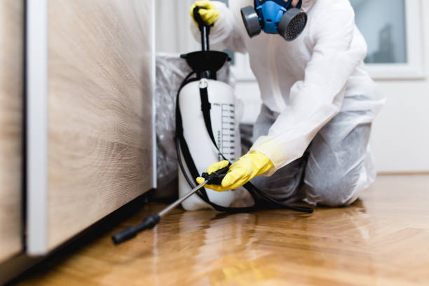 Best Emergency Pest Control  in Belcourt, ND