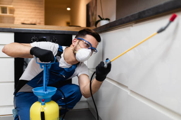 Flea Control Services in Belcourt, ND