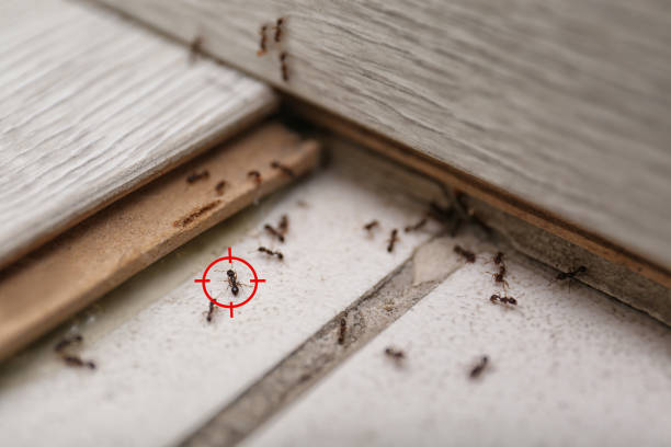 Belcourt, ND Pest Control Company