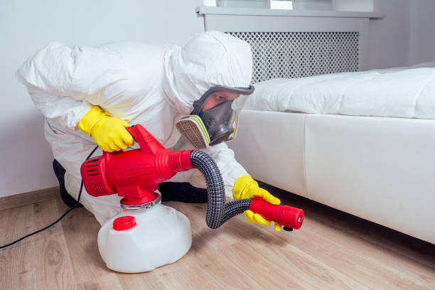 Best Local Pest Control Services  in Belcourt, ND