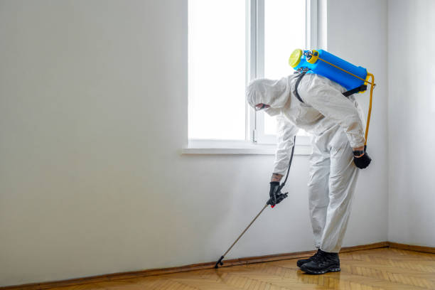 Best Commercial Pest Control Services  in Belcourt, ND