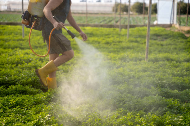 Best Pest Control for Restaurants  in Belcourt, ND