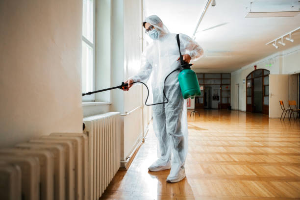 Best Termite Control Services  in Belcourt, ND