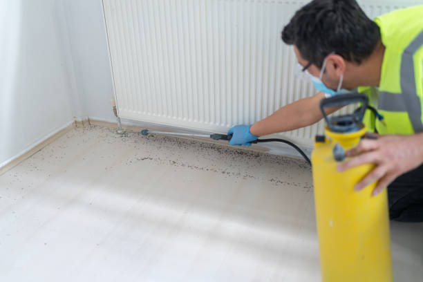 Pest Control for Restaurants in Belcourt, ND