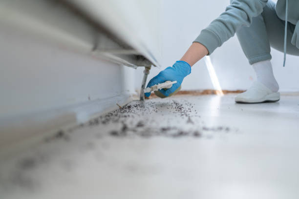 Best Best Pest Control Companies  in Belcourt, ND